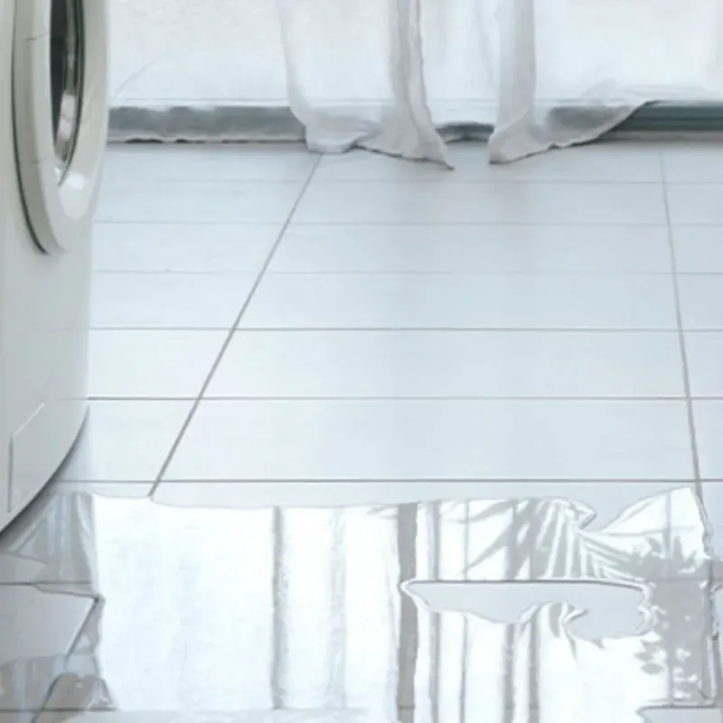 Appliance Leak Cleanup in Grain Valley, MO